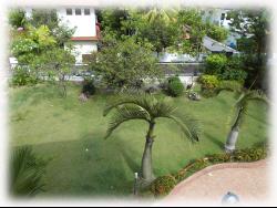 Garlick Avenue (D10), Detached #769562
